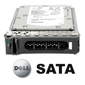 Y2015 Dell 250-GB 7.2K 3.5 SATA w/F238F - фото 45051