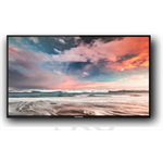 Профессиональный дисплей GoodView 55" AD display, 600cd/m2, 24/7, FHD - фото 45191