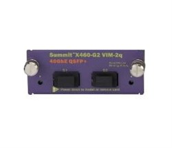 Модуль для коммутаторов Extreme Summit X460-G2 VIM-2Q - фото 49431