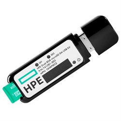 Память HPE 32GB microSD RAID1 USB Boot Drive, P21870-001 - фото 49545