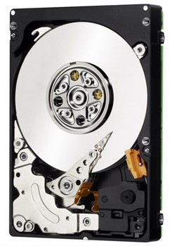 Жесткий диск Seagate 146GB SAS2.0 Hard Drives 2.5" ST9146803SS - фото 53983