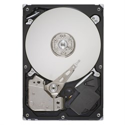 Жесткий диск IBM 750GB 3.5" SATA, 43W7579 - фото 55505