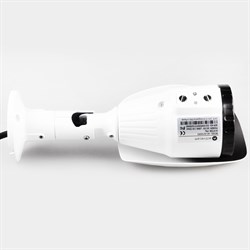 Уличная вариофокальная IP камера ActiveCam AC-D2113IR3 - фото 6129