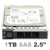401-AAXN Dell G14 1-TB 12G 7.2K 2.5 SAS w/DXD9H