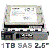 XCTT1 Dell 1-TB 6G 7.2K 2.5 SAS w/G176J