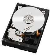 Жесткий диск Western Digital RE4-GP 2Tb 3G 7,2K 64Mb SATA 3.5", WD2002FYPS