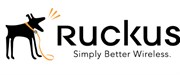 Лицензия Brocade/Ruckus BR-ICX-7150-210U410R-P-01