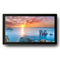 Профессиональный дисплей Goodview 22" PCAP display, 250 cd/m2, 24/7, FHD, aluminium frame, 10 points - фото 45193
