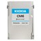 Nvme ssd диск Infortrend Kioxia, U.3 NVMe SSD, PCIe Gen4, 3.84TB, DWPD=1, with bundle key 3YW (for UR2 / URT2) - фото 59680